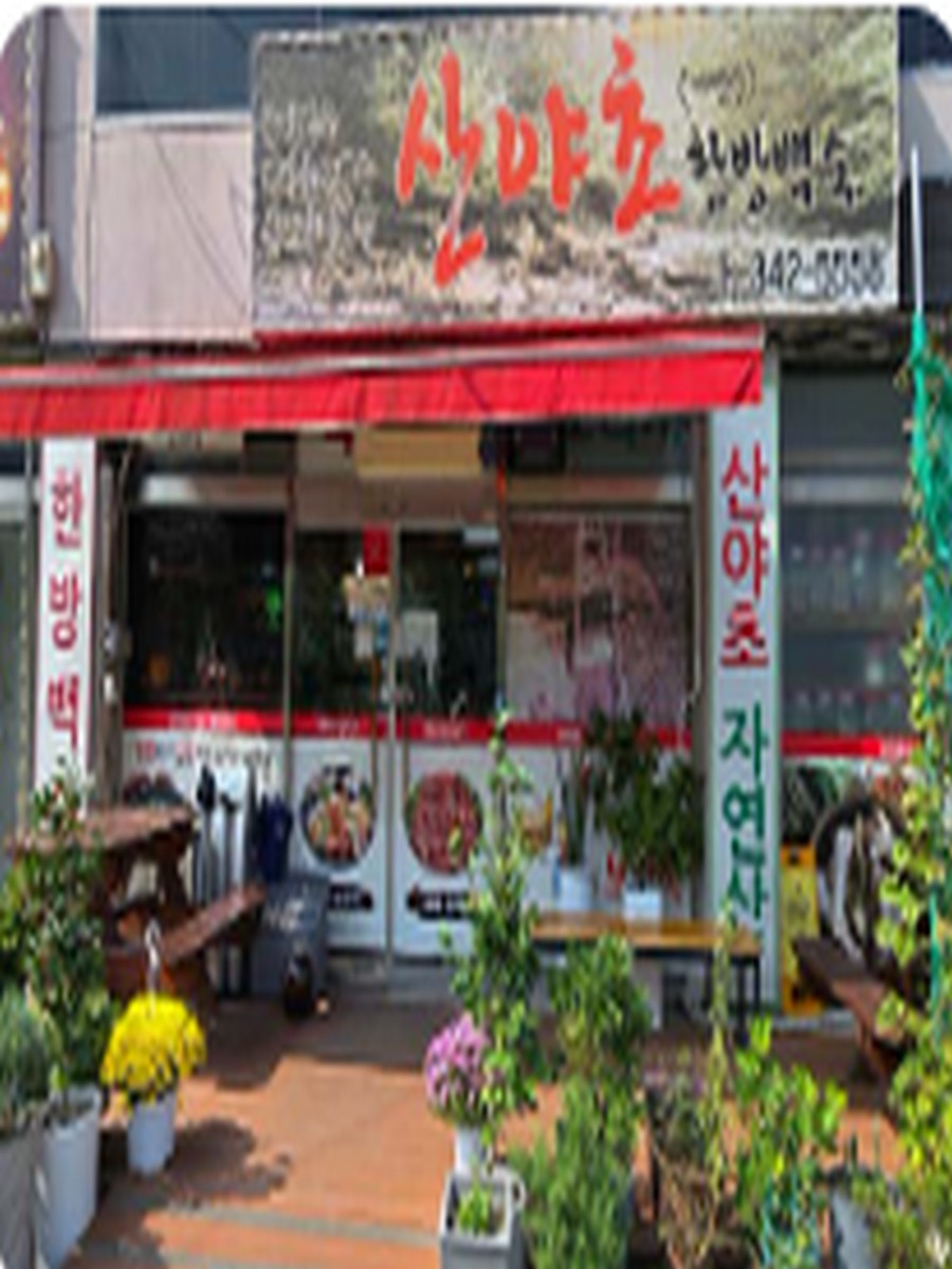 산야초한방백숙