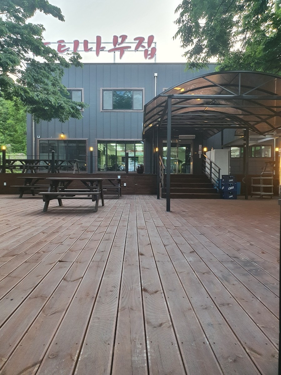 느티나무집